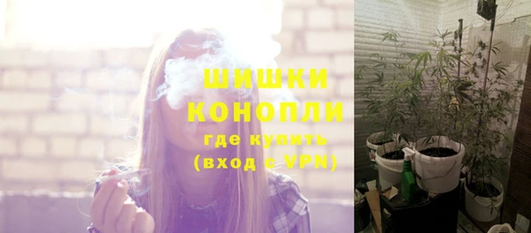 прущие грибы Верхнеуральск