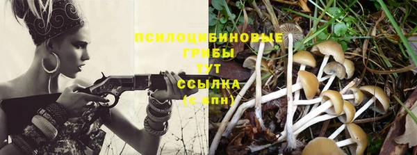 соль курить ск Верея