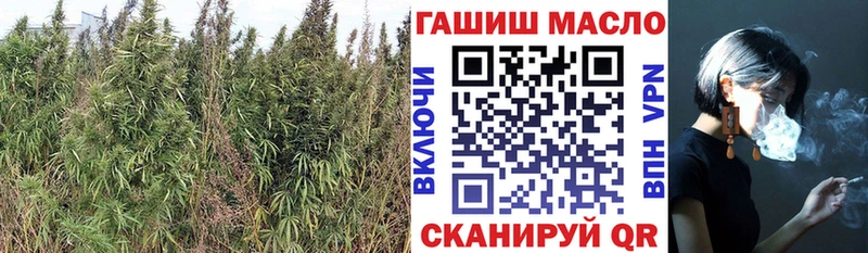 кракен маркетплейс  Ангарск  ТГК THC oil 